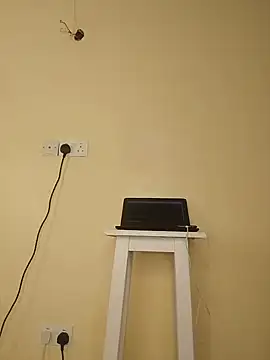Sayilly webcam