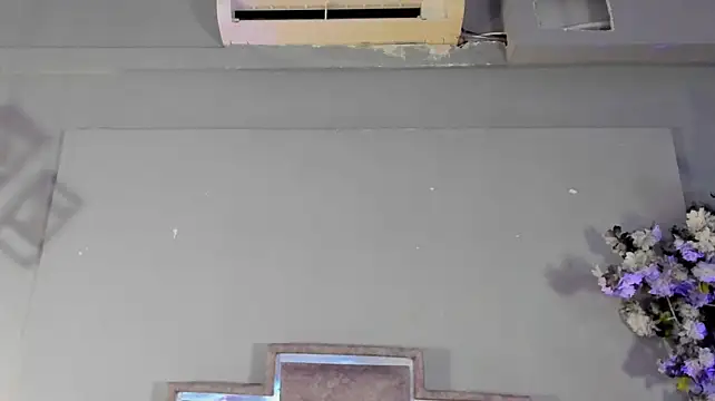 Cloedurant webcam