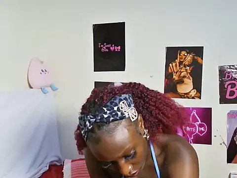 Aria_ah webcam