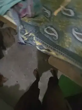 Big_dick_saurabh webcam