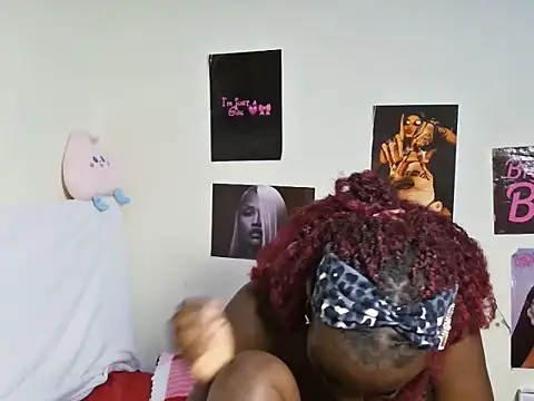 Aria_ah webcam