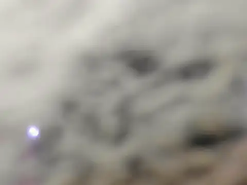 sexynathalyx webcam