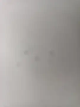 Joosee1696 webcam