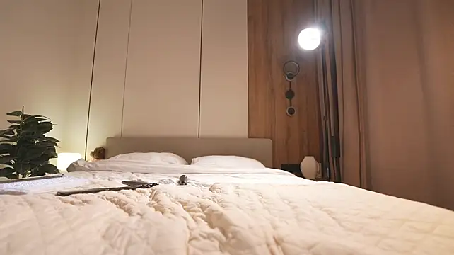 Noctivelle webcam