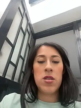 ELY_FE_ webcam