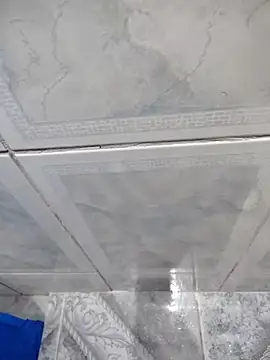 Willdpo webcam