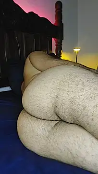 Gasc_1992 webcam