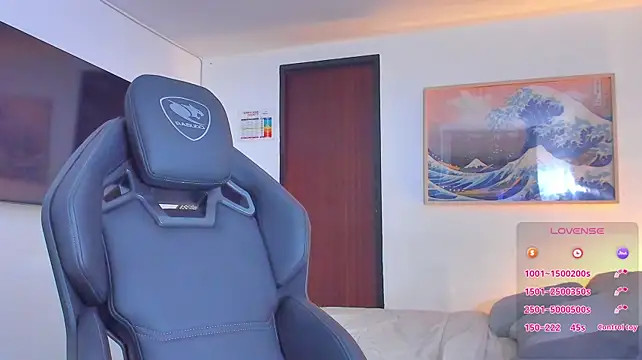 RJBarto webcam