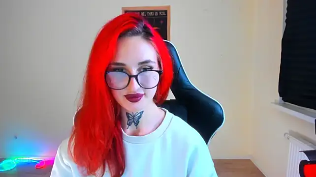your_tora webcam