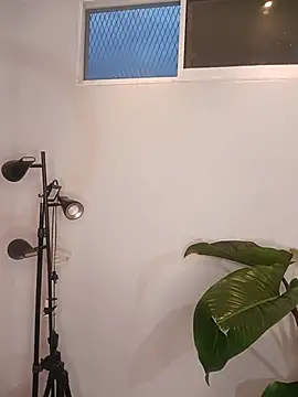 Alexa_poppper webcam