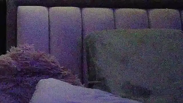 Jack_castell webcam
