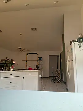 Controllercutie webcam