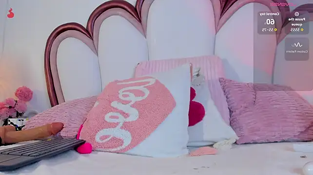 AriaCush webcam