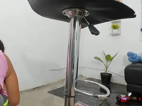 Miiavelveet webcam