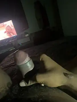 Perk_S webcam