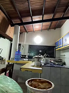 PrincesLeo webcam