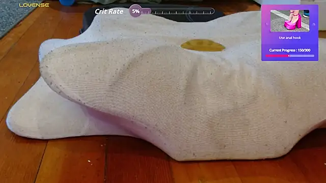 Sinchip webcam