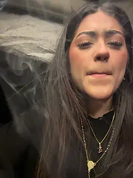 Chanel-fire webcam