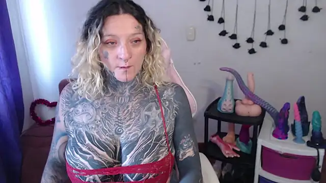 SLOPPYTITSS webcam