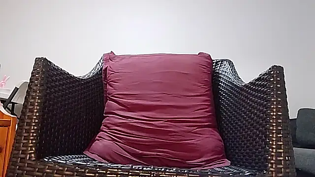 Tyyson03 webcam