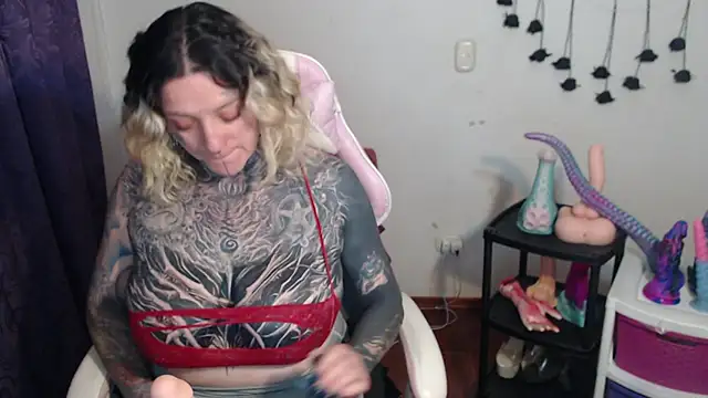 SLOPPYTITSS webcam