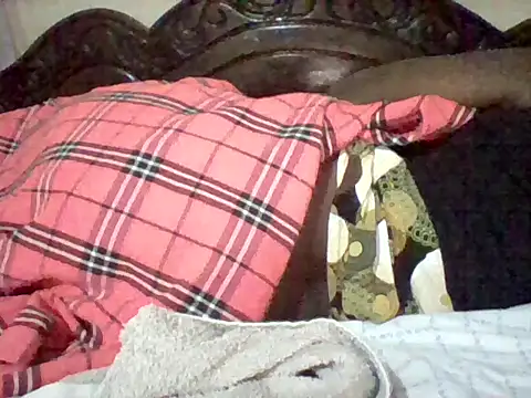 missarpie webcam