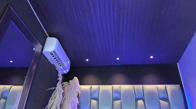 Larabrooks webcam