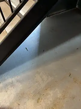 RiskySlut