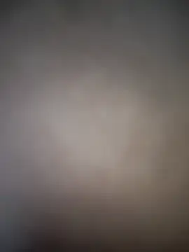 Cataleya_16 webcam