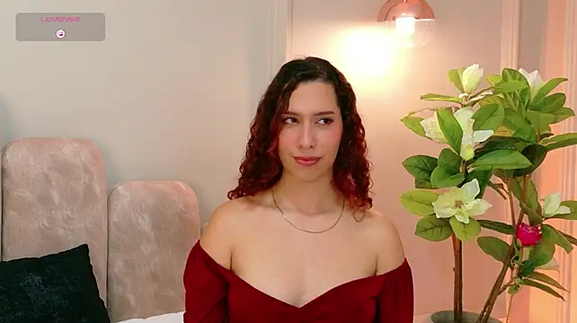 Sophie-Waldorf webcam