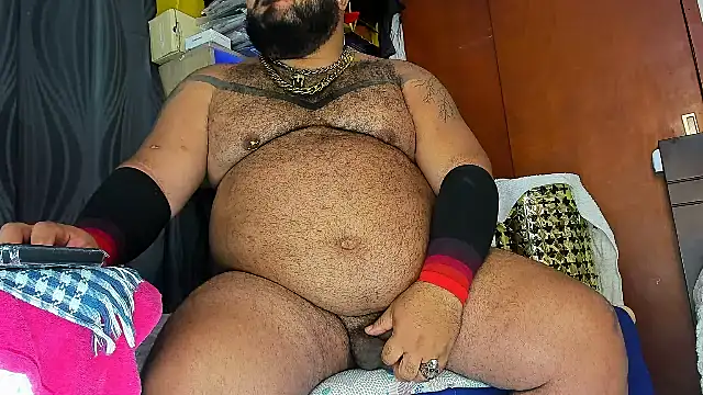 Bearspigdirty webcam
