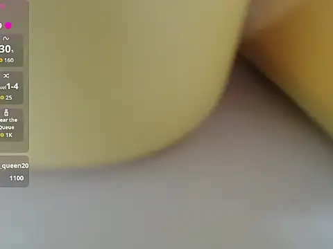 Lovensetest webcam