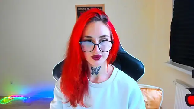 your_tora webcam