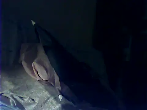 VeneRed webcam