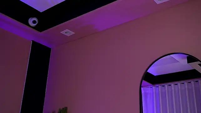 Nanis_dash webcam