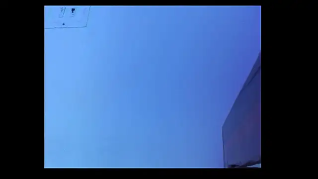 aria1609 webcam
