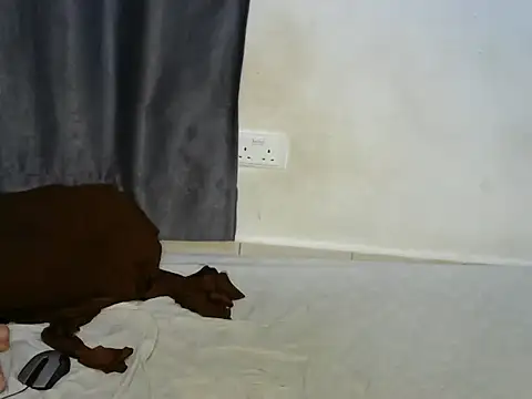 prettie_babe webcam