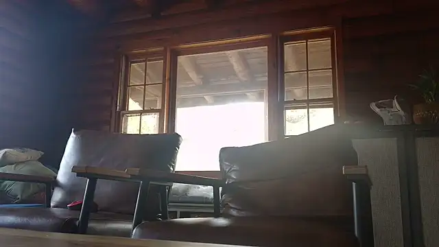 cashmasterzobistone webcam