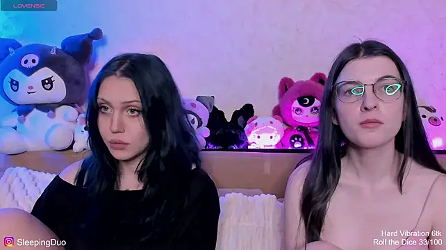 SleepingDuo webcam