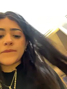 Chanel-fire webcam