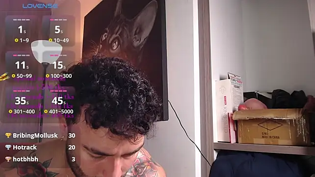 Diegoarctic webcam