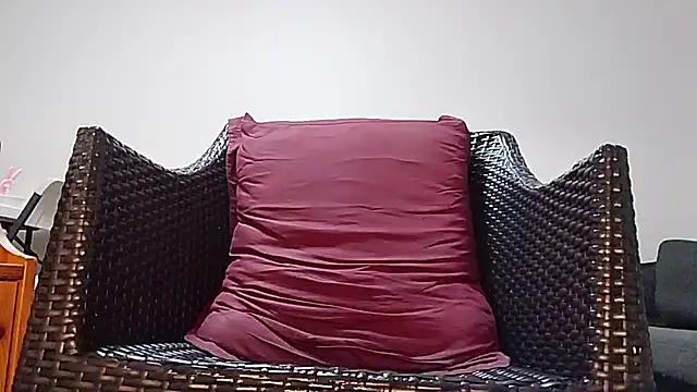 Tyyson03 webcam