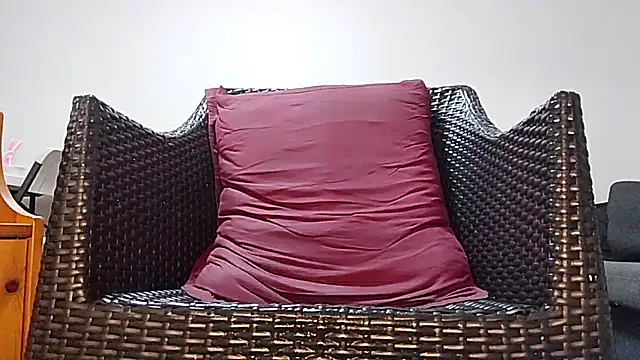 Tyyson03 webcam