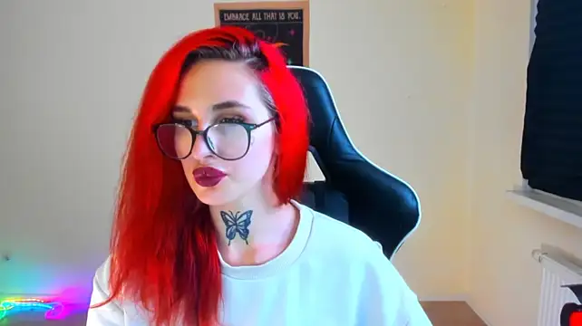 your_tora webcam