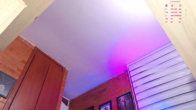 Salome-sw webcam