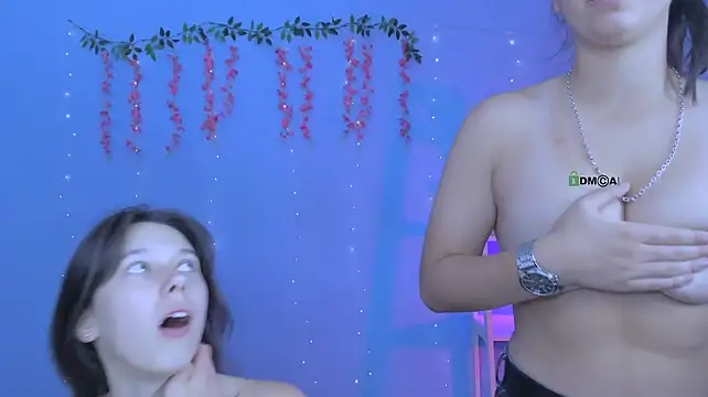 aria_wild_ webcam
