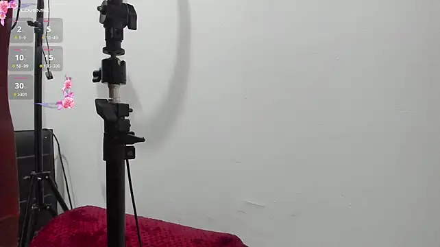 sophie_canbrook1 webcam