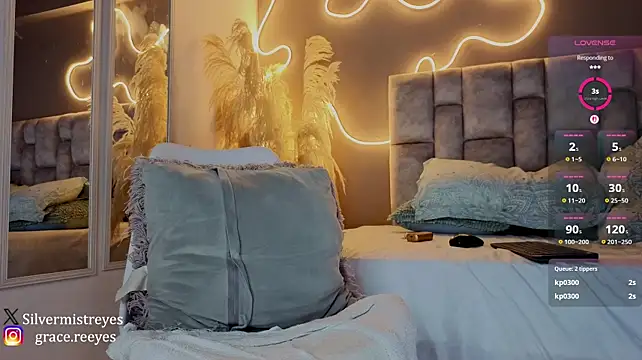 Silvermistt webcam