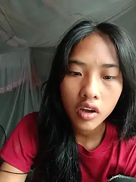 Hoa-tuylip webcam