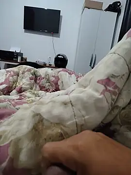 Willdpo webcam
